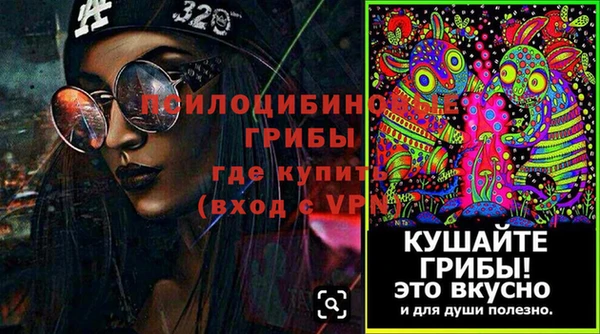 кокс Богданович