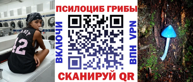 kraken зеркало Кораблино Галлюциногенные грибы Psilocybe